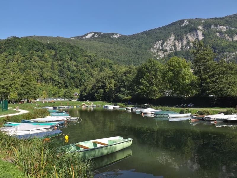 Des barques amarrées au bord du lac, dans le hameau du Port