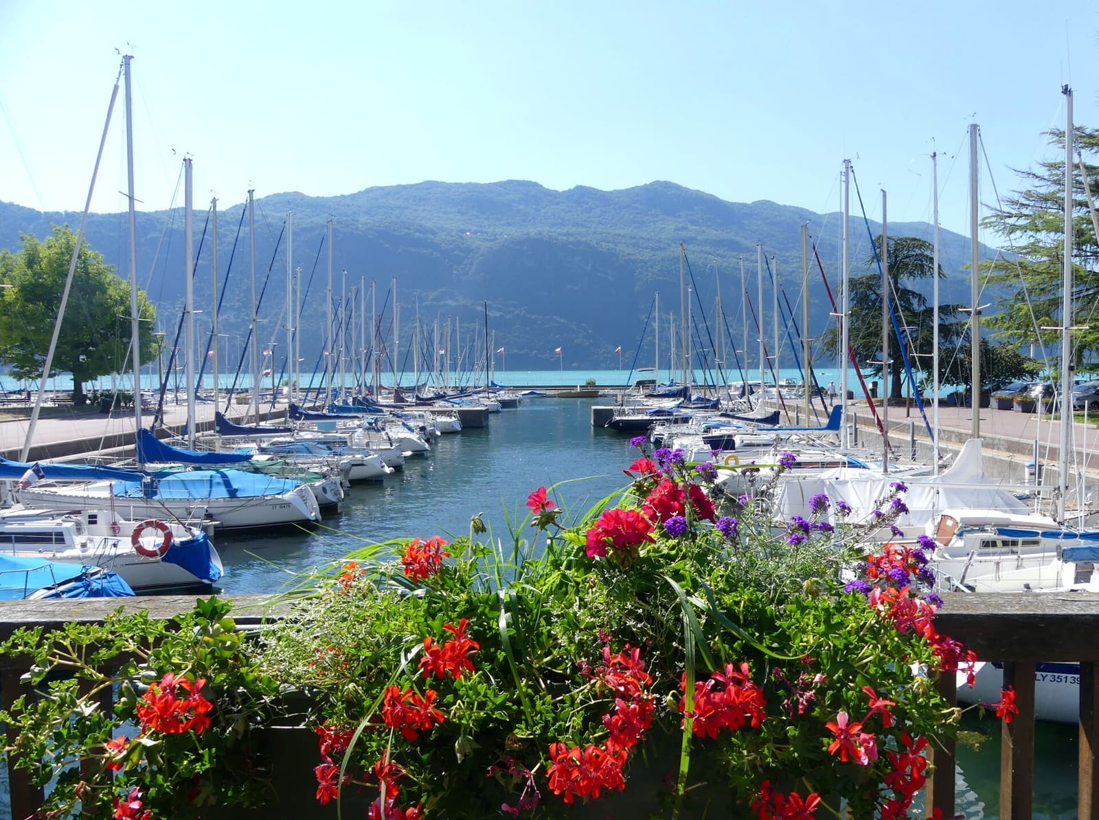 Des voiliers amarrés dans le Grand Port d’Aix-les-Bains, des fleurs au premier plan