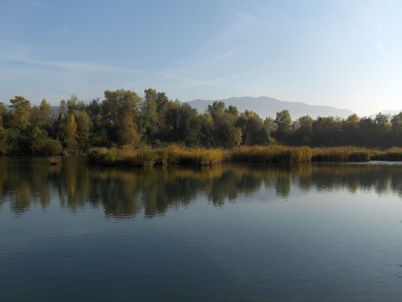 Une eau calme bordée de roseaux et d’arbres dans la réserve du delta de la Dranse