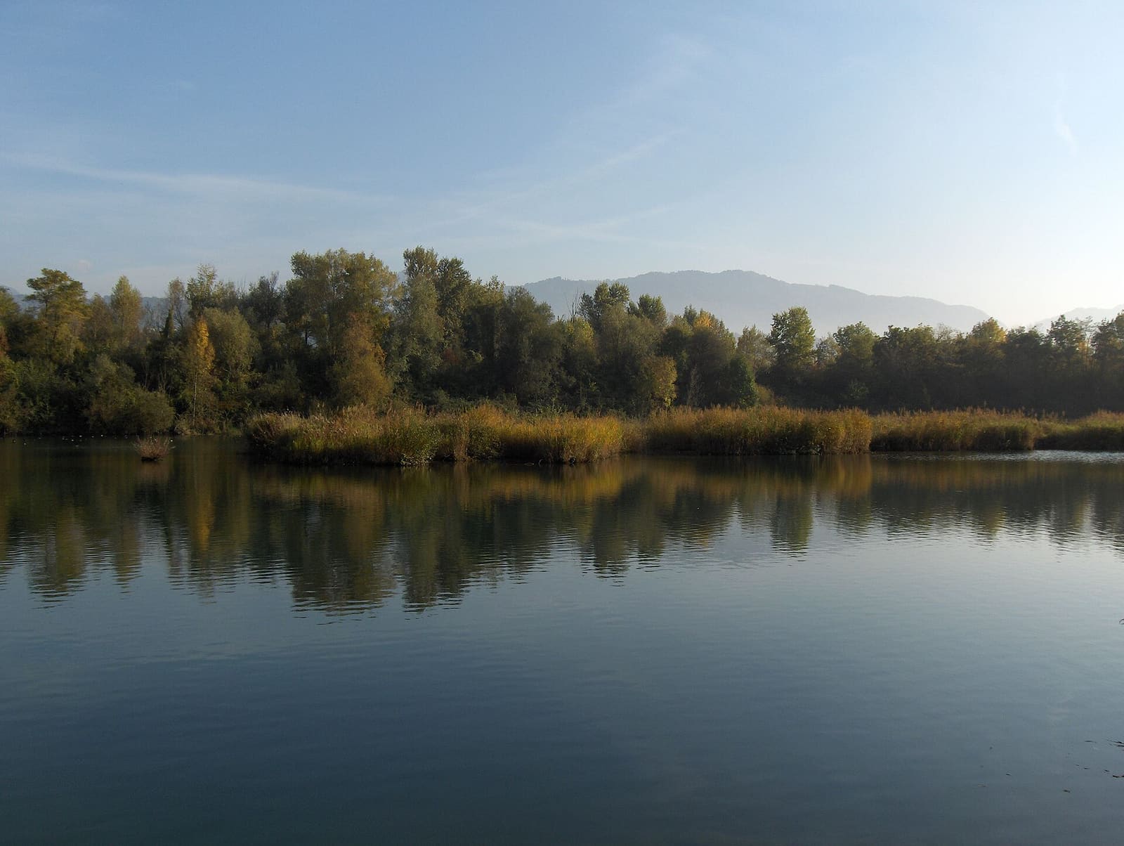 Une eau calme bordée de roseaux et d’arbres dans la réserve du delta de la Dranse